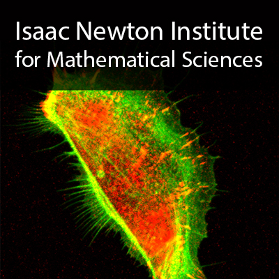 Coupling Geometric PDEs with Physics for Cell Morphology, Motility and Pattern Formation 's image